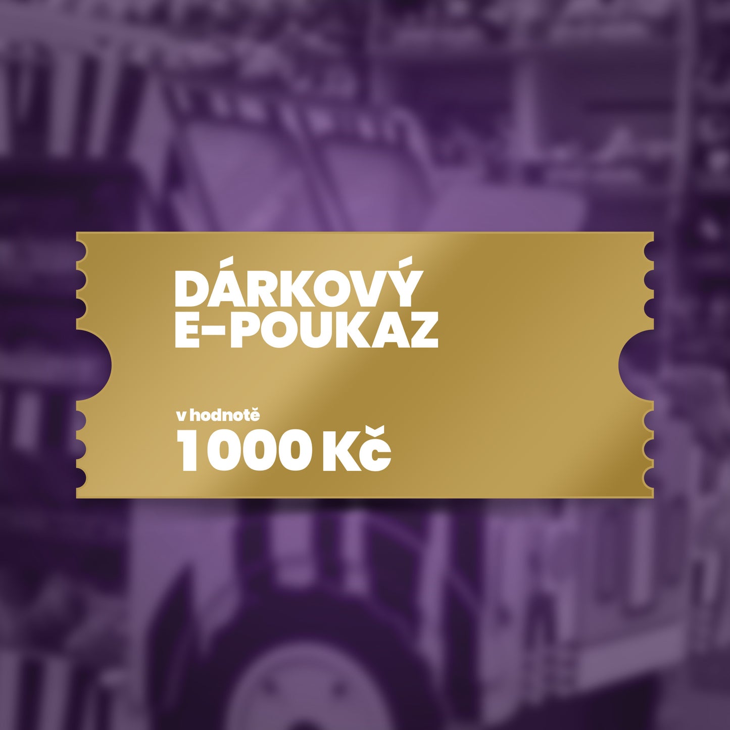 Elektronický poukaz na nákupy